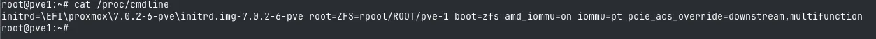 IOMMU kernel parameters confirmed in /proc/cmdline