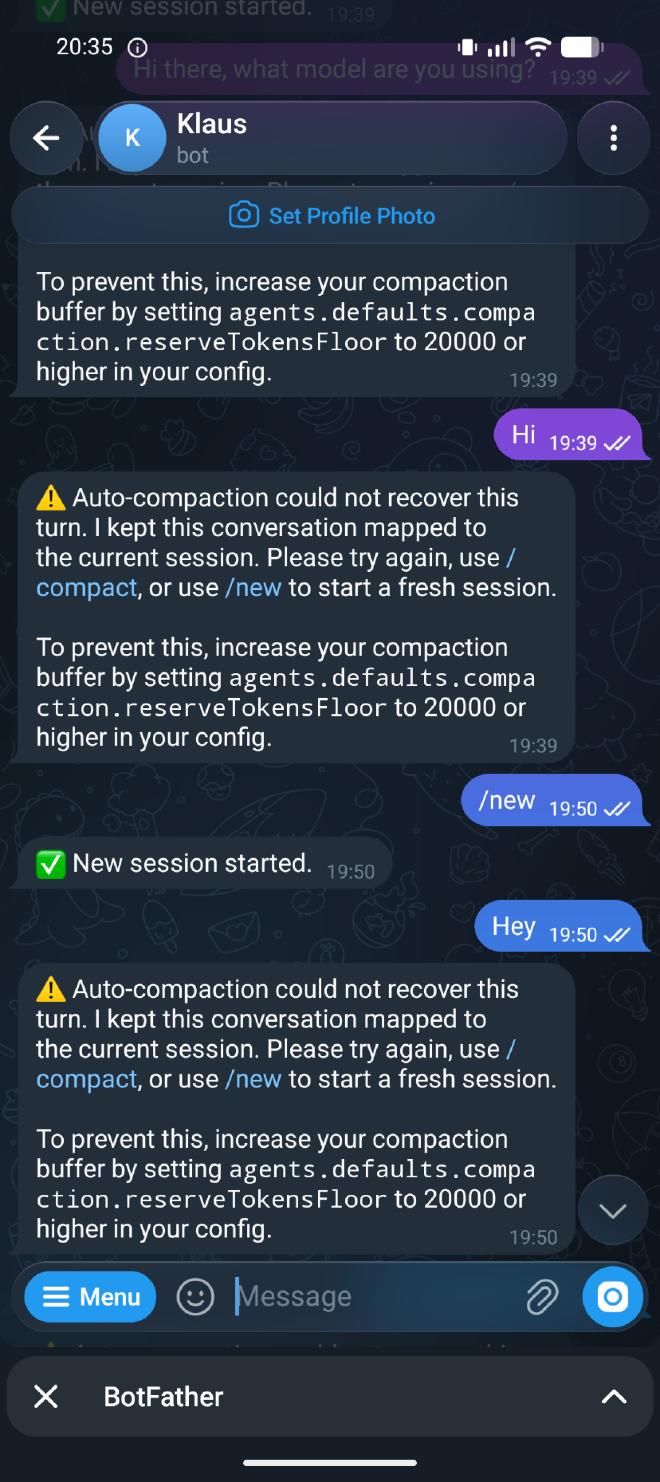 OpenClaw auto-compaction with Telegram